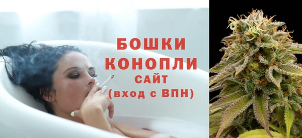 PSILOCYBIN Алзамай