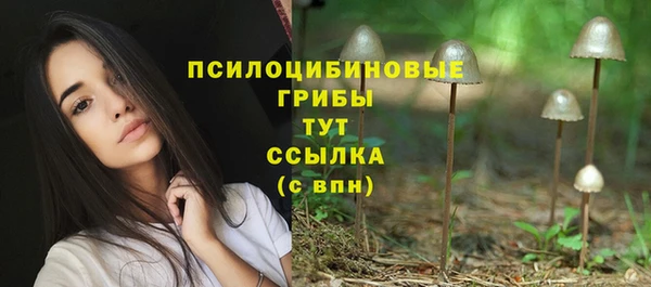 PSILOCYBIN Алзамай
