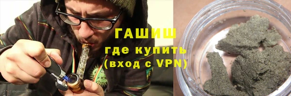 PSILOCYBIN Алзамай