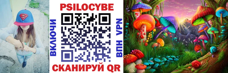 купить наркоту  Щёкино  Псилоцибиновые грибы ЛСД 